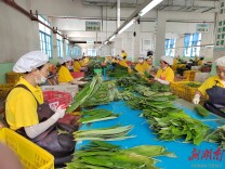 为残疾人提供就业平台，力争将企业打造成“国家级残疾人就业基地”的标杆—— 残疾人康华就业“无障碍”