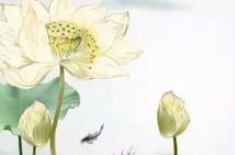 “很幸运能与你们一起度过那永不褪色的奋斗岁月”——如果办公楼会说话