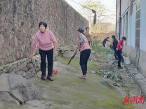 新田县石羊镇：先锋模范齐上阵 人居环境换新颜