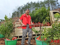 辰溪县大水田乡：“四引”模式作引领，人居环境初见效