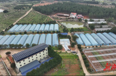 永州冷水滩：从露天到室内 秧苗住进了“科技化”温室