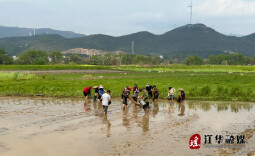 江华沱江镇：春耕正当时 播种育秧忙