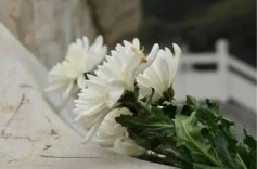 湖南民政：以祭扫的通畅换来群众心中的舒畅