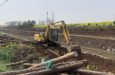 江南镇：稳步推进民生实事建设