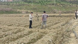 新田：护航春耕备耕 助推“三湘护农”