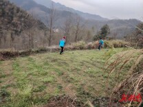 双牌何家洞镇：抢抓农时 大豆玉米带状复合种植播种忙