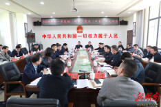 王启武主持召开2024 年第一季度镇（街道）党委（工委）书记例会