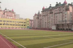 “青春的故乡”长在血脉里