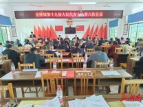 新田金陵镇第十九届人民代表大会第六次会议胜利召开