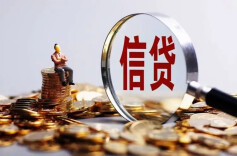 加大小微企业首贷、续贷投放！今年普惠信贷有这些支持