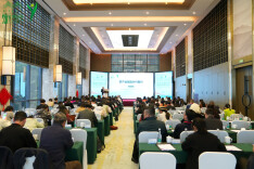 张岭苓荣获“新锐茶人”