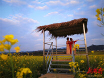 辰溪县龙头庵乡：以花为媒展形象  文旅融合促发展