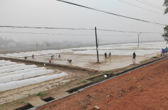 坦渡镇：抢抓农忙正当时 干群合力闹春耕