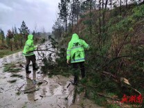 新田县新圩镇：积极应对强对流天气 镇村干部雨中除险