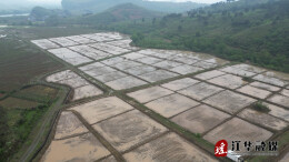 江华：春耕好时节  早稻移栽忙