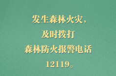 这份清明假期安全提示请查收→