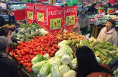 菜篮子周报丨蔬菜价格“七连跌”  河鲜人气高涨