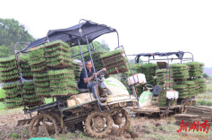 冷水滩区举办早稻粮食生产全程机械化现场演示会