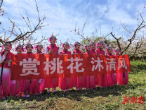 冷水滩黄阳司镇：赏桃花 沐清风