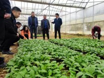 新田县新隆镇：田间课堂，让冬训更走“新”