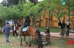 永州冷水滩：“以花为媒”助力乡村振兴