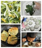 双牌：棉菜冒新芽 粑粑绵糯可口