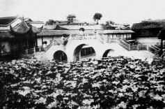 入檐花影落杯盘