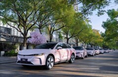 岚图追光“赏樱专驾”活动圆满结束