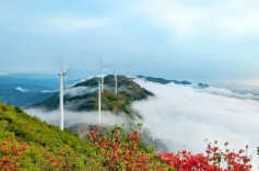 【湖南日报】“献策湖南”金点子摘登——中共通道侗族自治县委书记 覃歇民（着力解决清洁能源并网电力消纳问题）