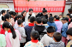 让爱鸟意识“飞”进校园 护佑候鸟迁飞