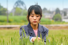 这届年轻人开始喜欢种地