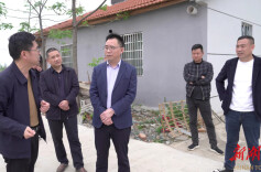 朱正权调研督导粮食生产工作