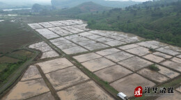 江华：春耕好时节 早稻移栽忙