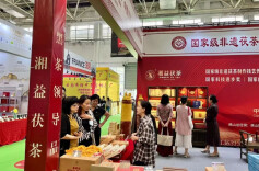 湘益茯茶亮相2024年佛山茶博会