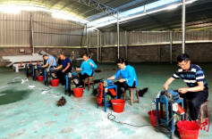 播阳镇：万象“耕”新干劲足