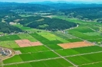 通道侗族自治县纪检监察机关护航春耕备耕