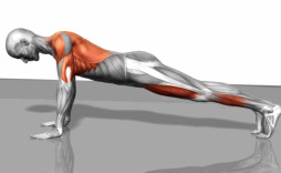 你的俯卧撑做对了吗？