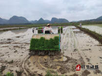 江华白芒营镇：惠农政策鼓人心大户种粮有底气
