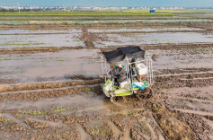 江南镇：大力推进龙虾池整改 高效助力早稻生产
