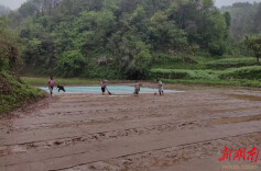 辰溪县大水田乡：春耕播种育秧忙 多措全力保丰收