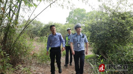 江华：猫头鹰民宅安家警力协作齐救助