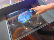 上新上线上台阶，消博会“购物车”活力尽显