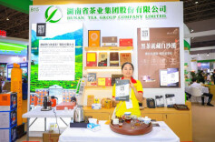 一国一品 生态好茶——白沙溪成功参展2024食博会、预博会