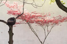 新时代中国调研行之长三角篇丨水乡小镇涌动能源新潮