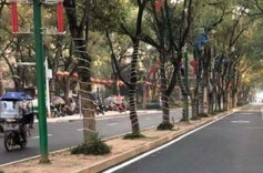 雨湖区楠竹山镇：紧盯群众“急难愁盼” 激活村级“监督哨”