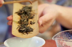 学会这5个动作，让你成为品茶高手