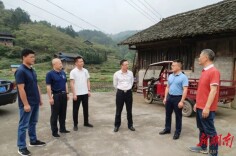 夏华以“四不两直”方式调研坪坦乡中药材产业发展情况