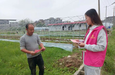 道县东门街道：助力春耕生产 “巾帼”展示风采