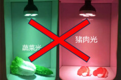 关注！农贸市场生鲜灯这么配！