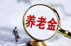 民政部：从未组织“个人普惠养老金方案”等活动